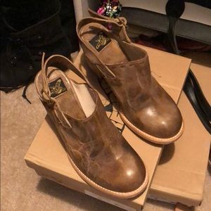 Gold freebird by Steven Mule